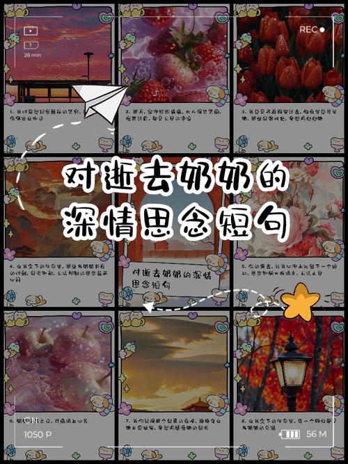 致奶奶诗歌，写给奶奶的诗歌-图3