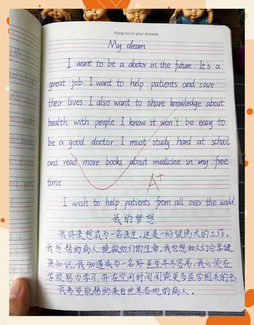 关于梦想的名言英语，关于梦想的名言英语及翻译-图2