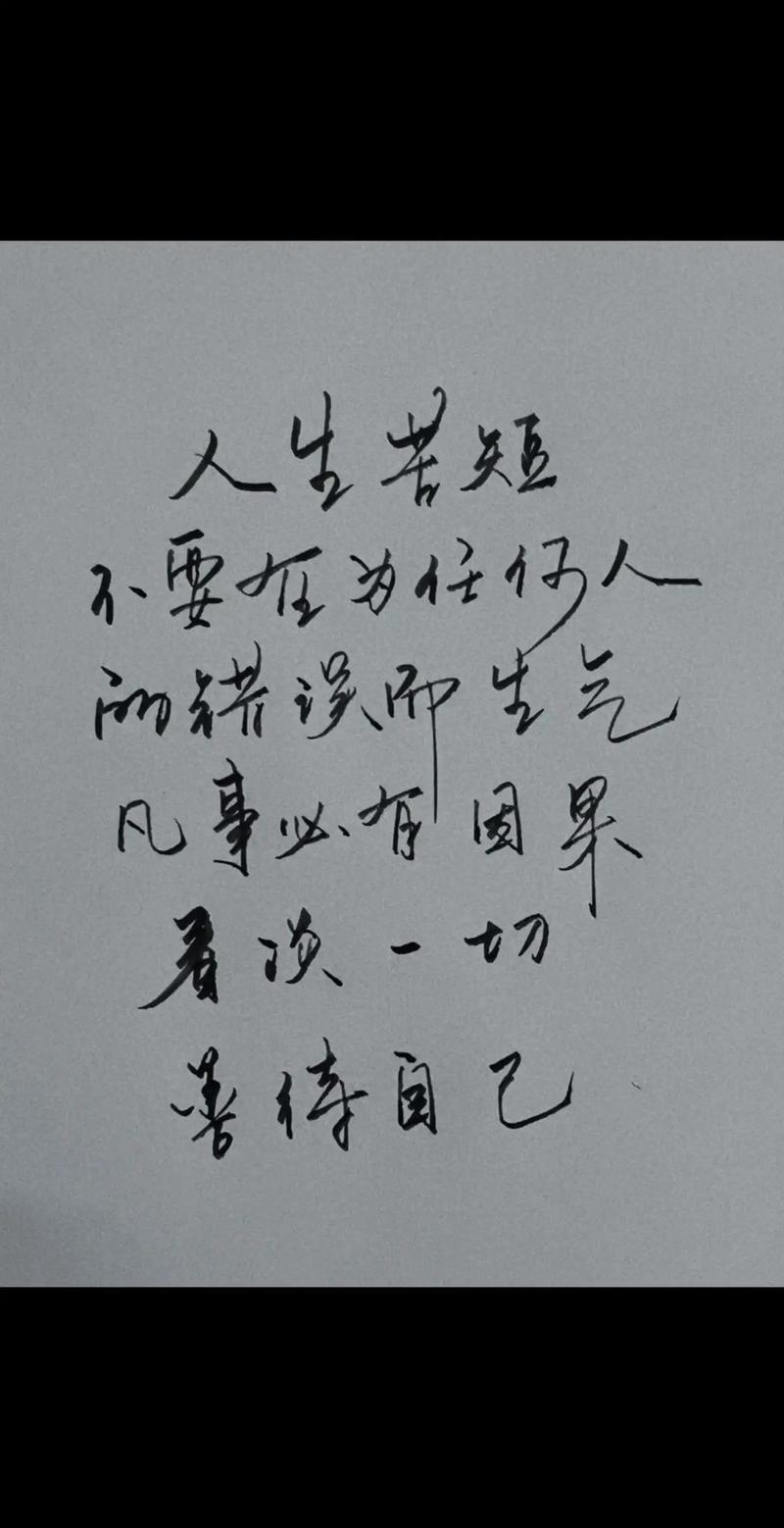 人生苦短的名言，人生苦短的名言警句-图2