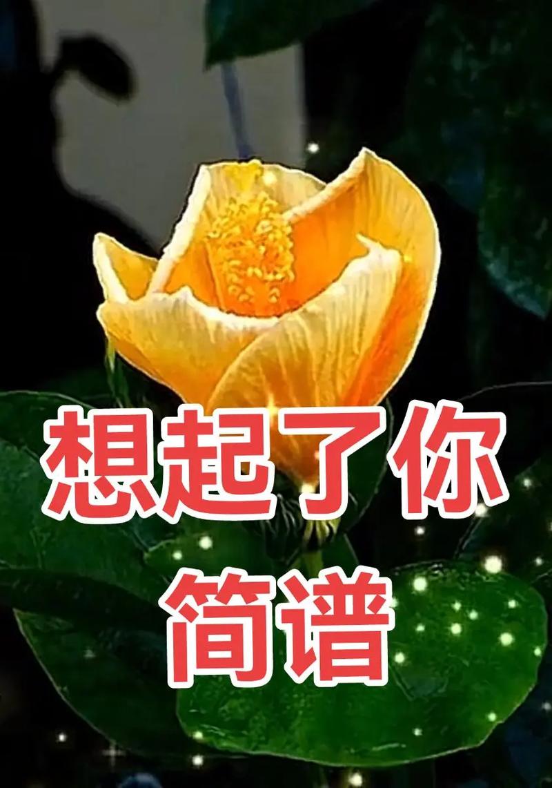 赞美诗歌想起你-图2