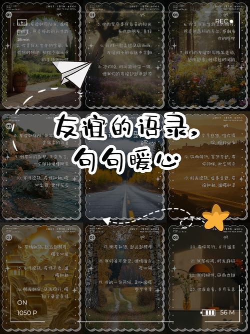 关于友谊的名人名言，关于友谊的名人名言有哪些-图3