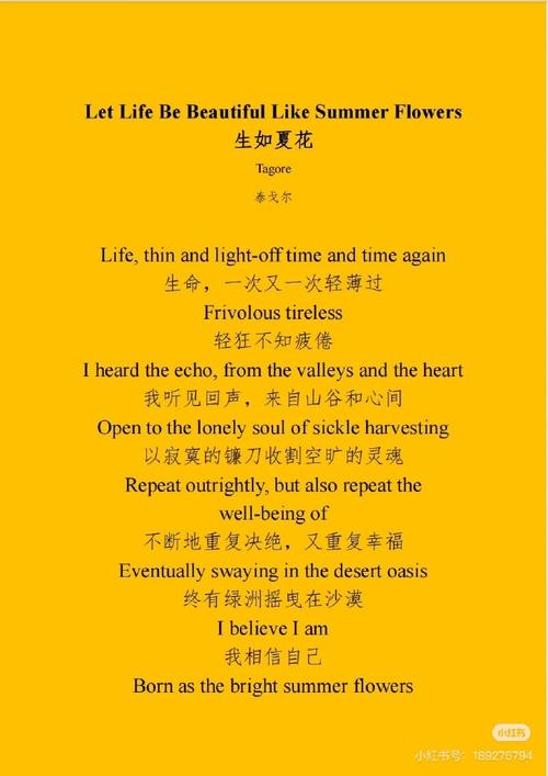 英文诗歌论文，英文诗歌论文怎么写-图3