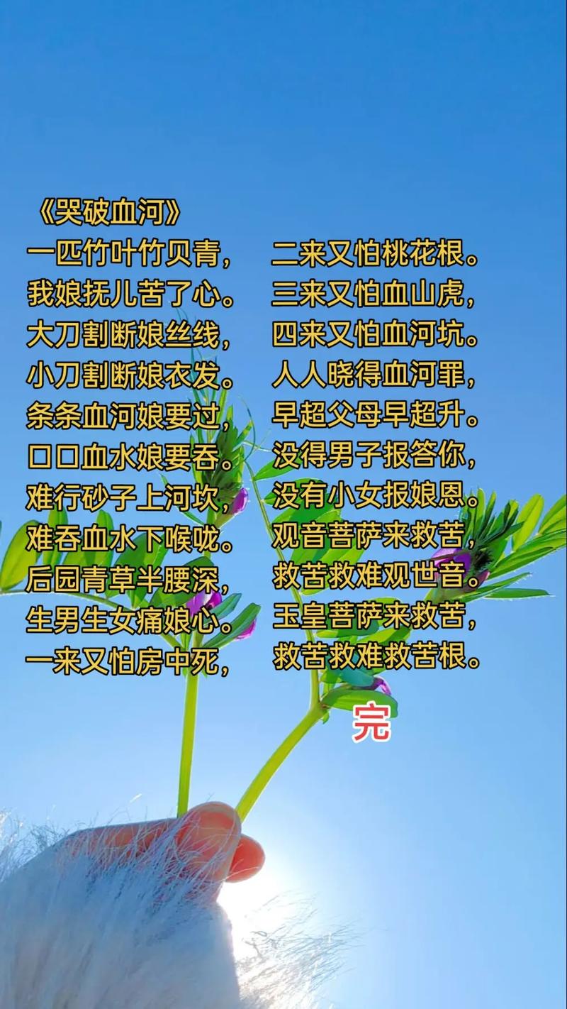 流血诗歌，诗歌流血歌-图2