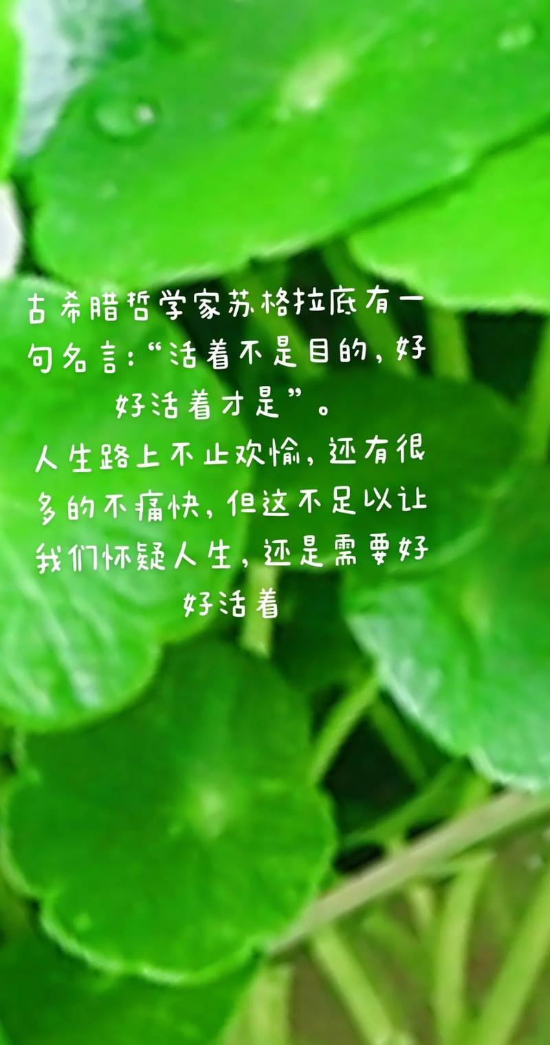 希腊名言警句藏着怎样的智慧?-图3 希腊名言警句藏着怎样的智慧?-图3