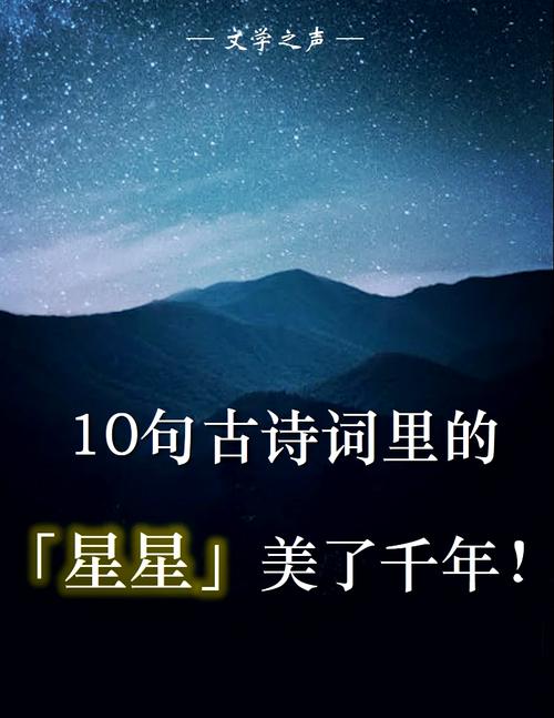 满天星的诗歌-图2