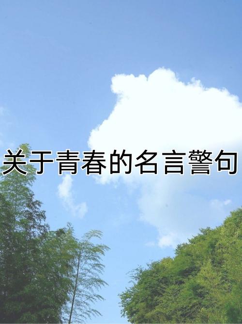 青春追梦，名言何解？-图1