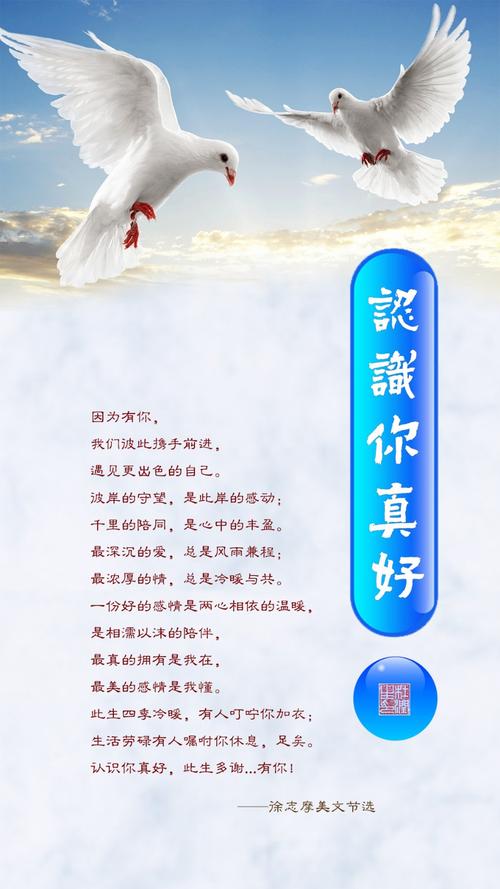 认识你真好，诗为何如此动人？-图1