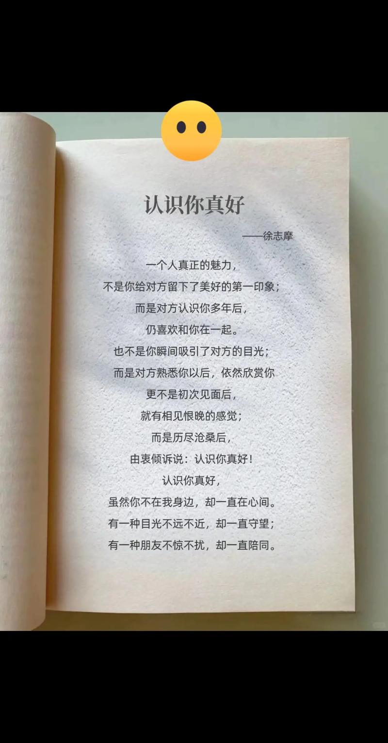认识你真好，诗为何如此动人？-图2