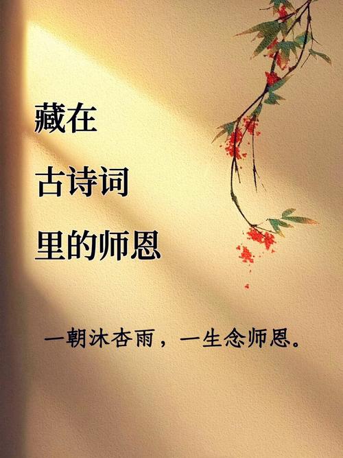 老师名言警句，藏着怎样的育人智慧？-图1