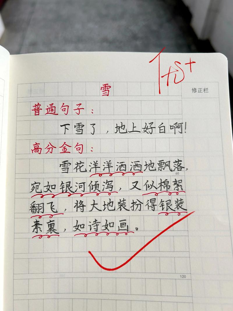 雪自己写的是何意?-图1 雪自己写的是何意?-图1