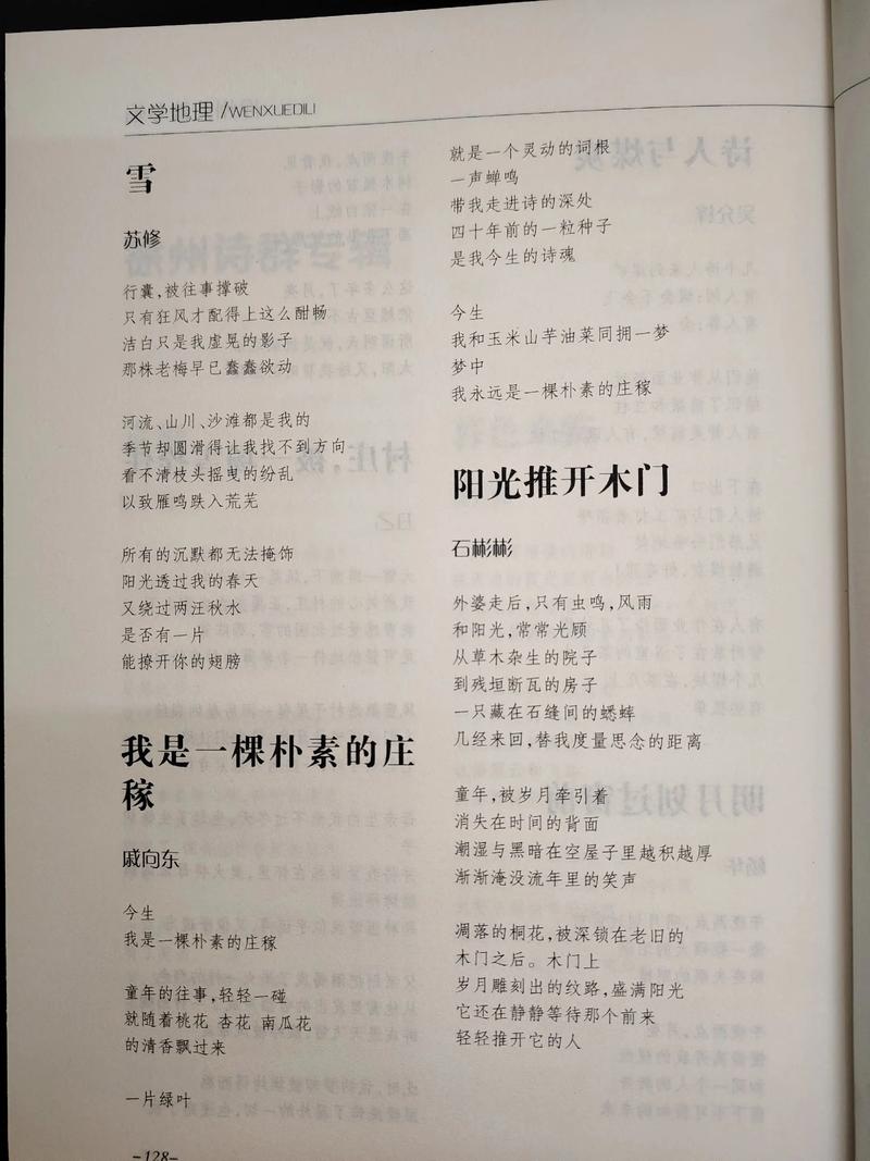 辽宁诗歌里藏着怎样的山河？-图1