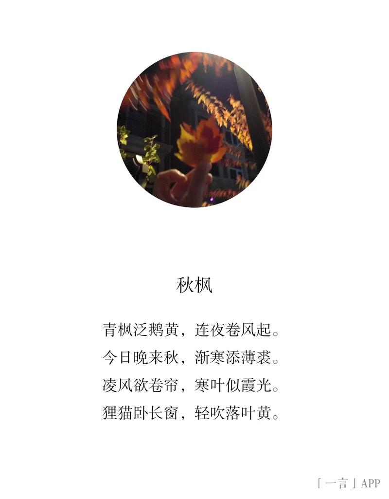 秋天的诗歌自编-图3