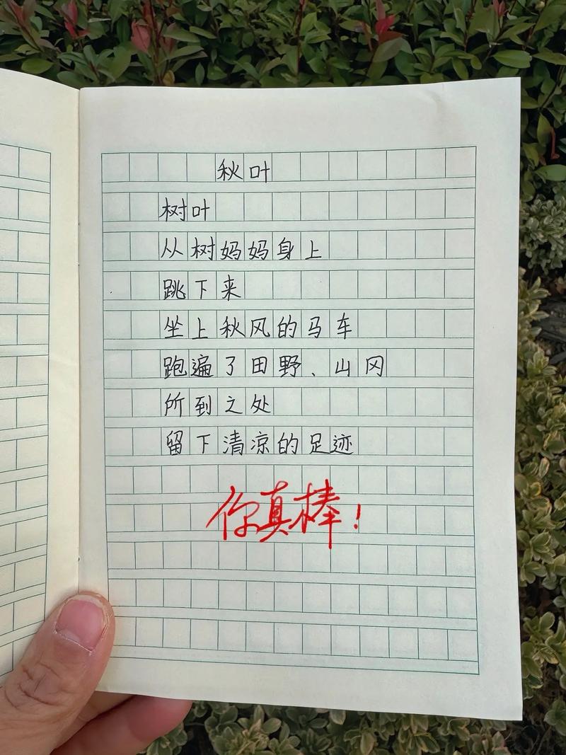 诗歌适合小学生-图3