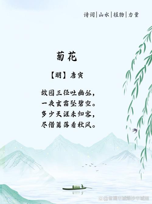 为何菊花成诗歌咏叹主角？-图3