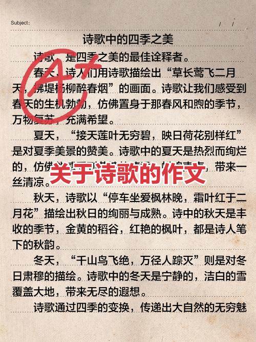 对诗歌的感受作文-图3