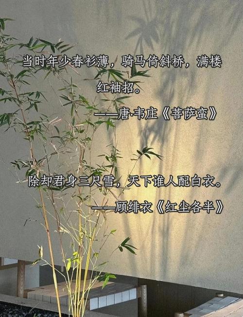 做好少年诗歌-图1