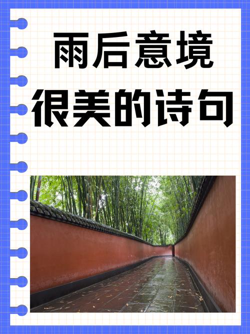下雨了下雨了诗歌-图3