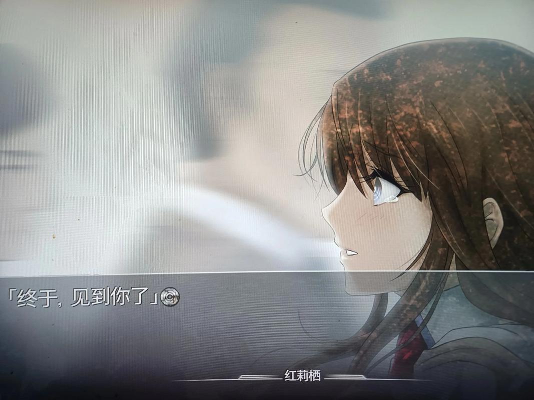 命运石之门名言有何深意？-图3