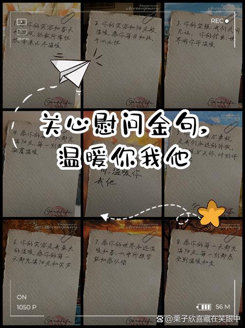 关于关怀的名言-图2