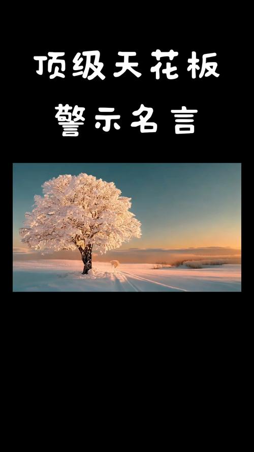 名言为何会被公开？-图1