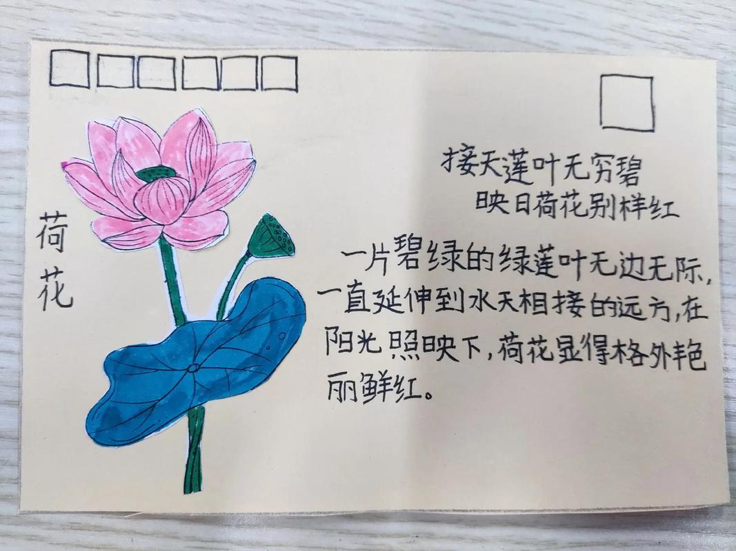 一张明信片，藏着多少未寄的思念？-图2