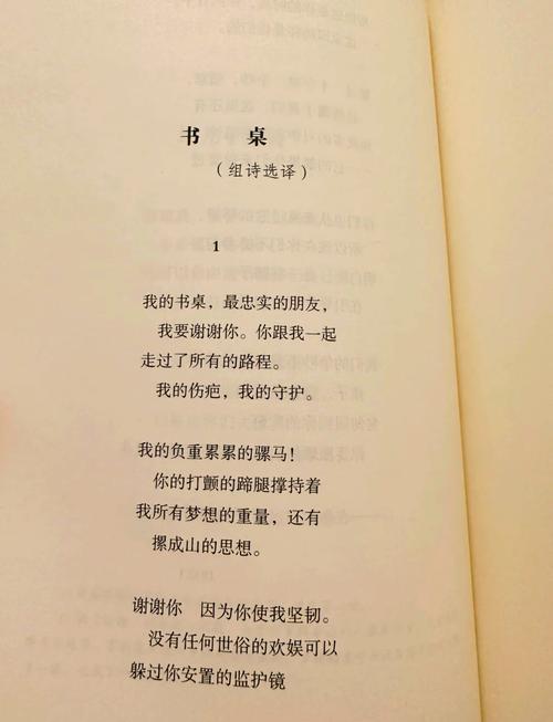 盲人世界，诗歌如何看见？-图1
