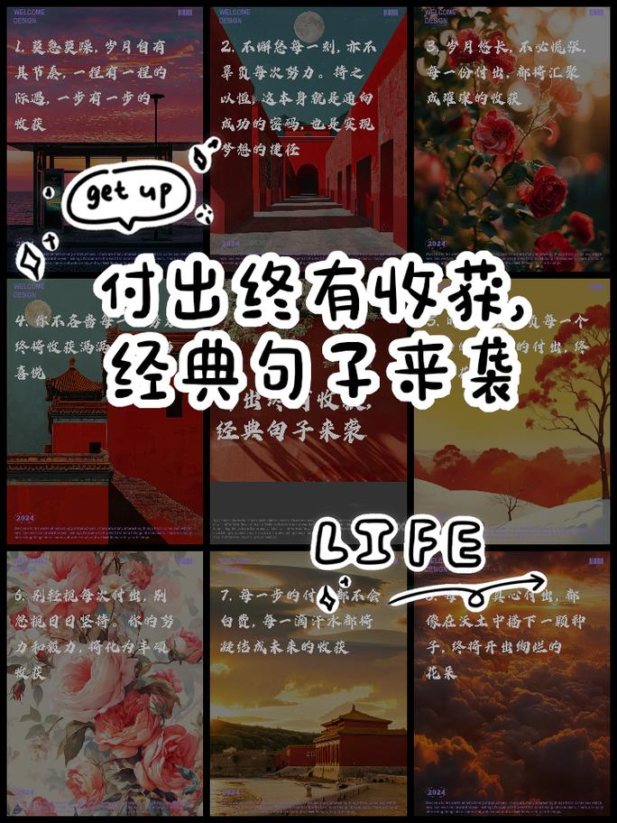 付出名言，何为真智慧？-图3