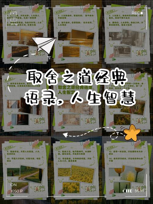 施舍是善还是交易？-图3