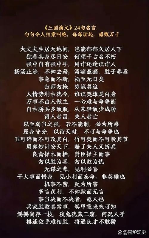 三国演义名言名句有哪些？-图3