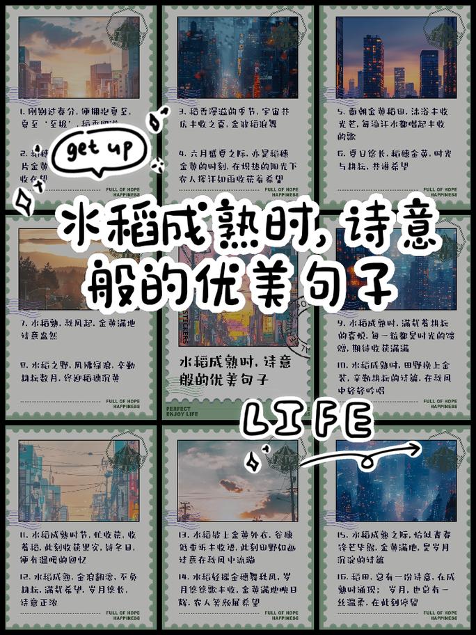 谷穗名言蕴含何深意？-图2