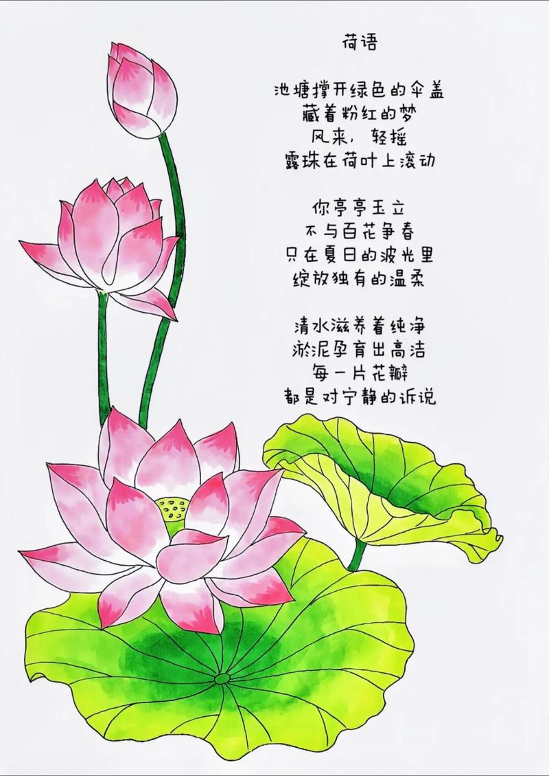 现代诗歌如何分类？-图1