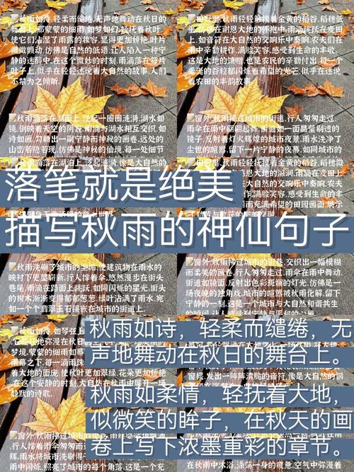 唯美句子诗歌-图3 唯美句子诗歌-图3