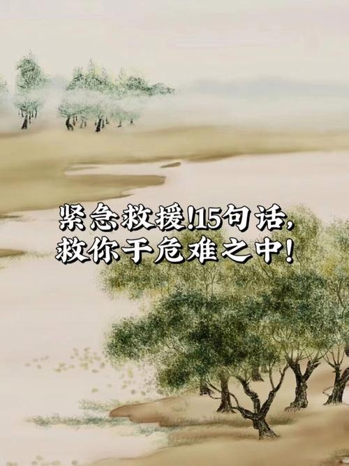 危难的名言-图1 危难的名言-图1