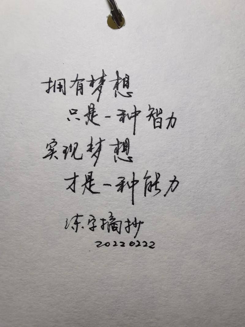 为梦想努力的名言-图1