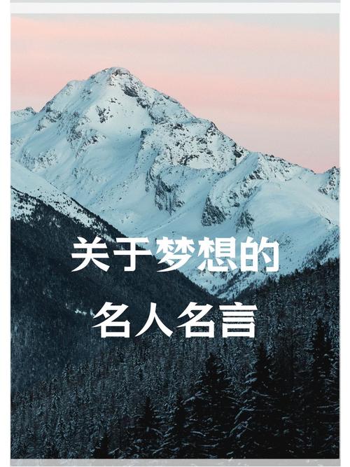 为梦想努力的名言-图3