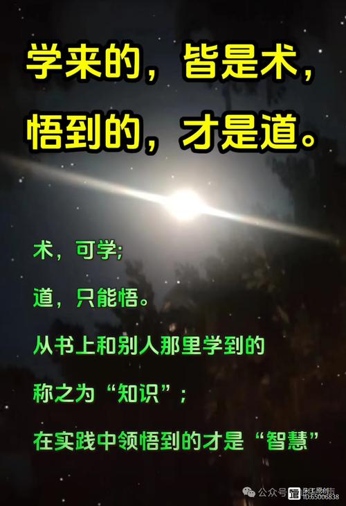 道术名言，何为根本？-图1