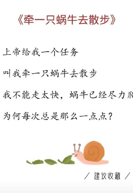 蜗牛的诗，藏着慢时光的答案？-图2