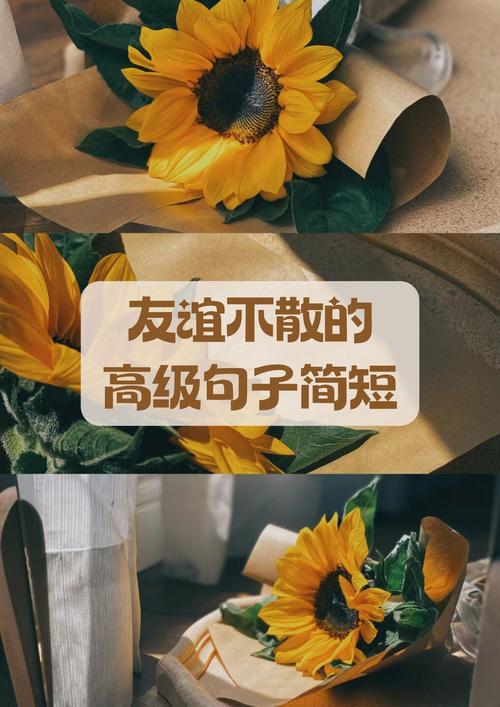 友情名言，藏着多少真心？-图2