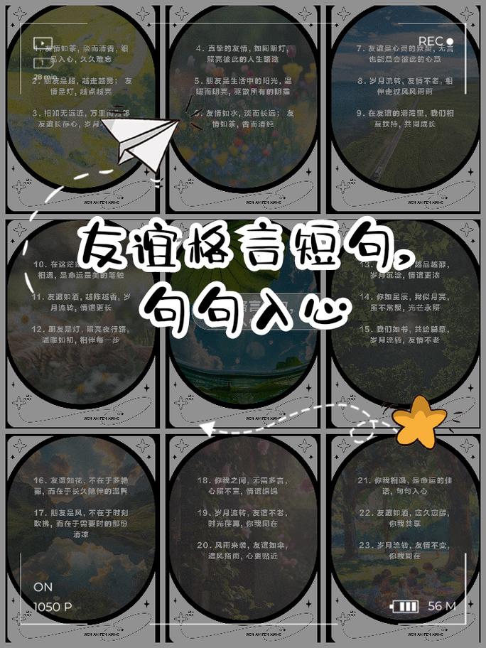 友情名言，藏着多少真心？-图3