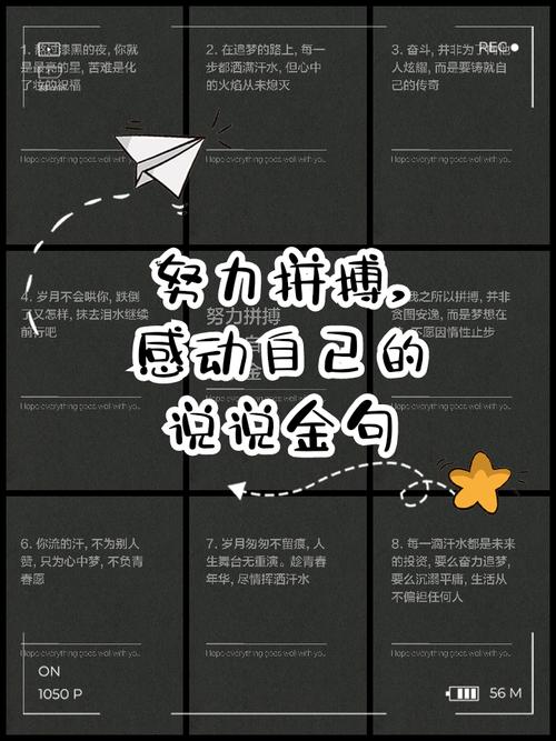 名言努是什么？-图2