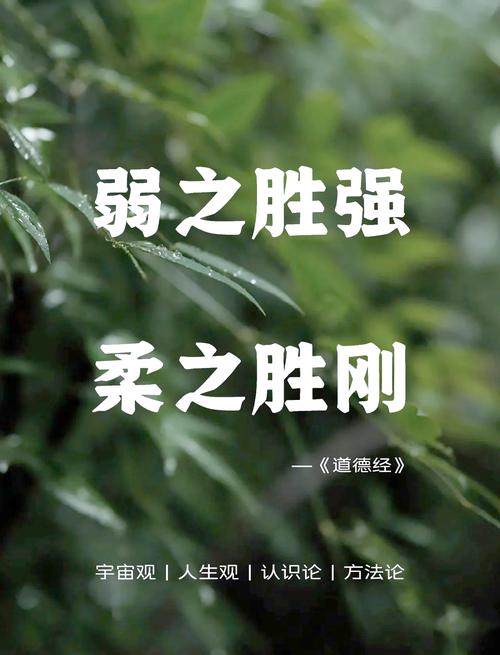 刚柔名言，何为处世真谛？-图3