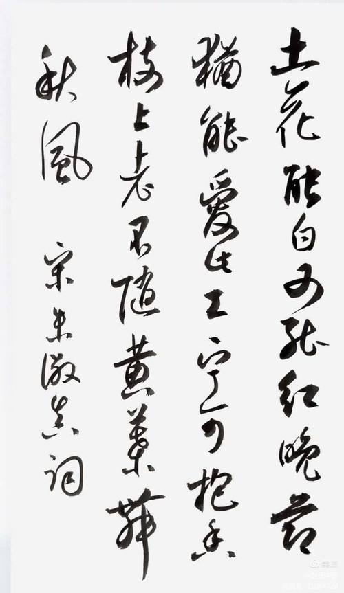 黄花诗歌,何意蕴藏其中?-图1 黄花诗歌,何意蕴藏其中?-图1