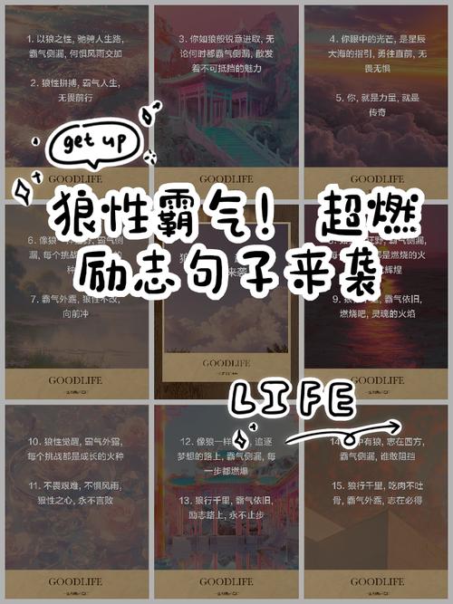 关于狼名言-图1