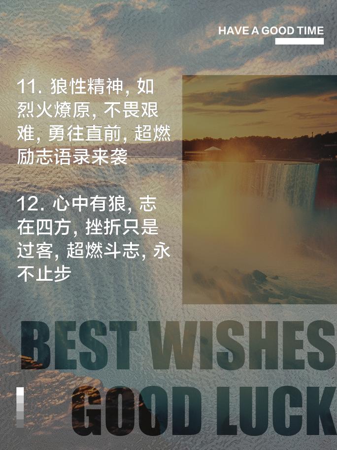 关于狼名言-图2