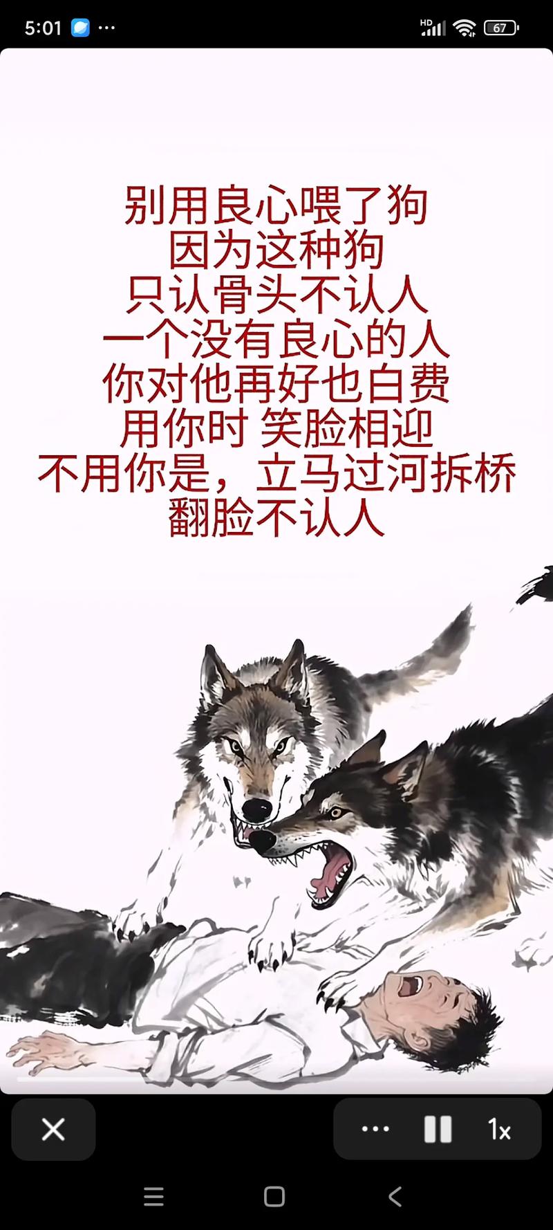 关于狼名言-图3