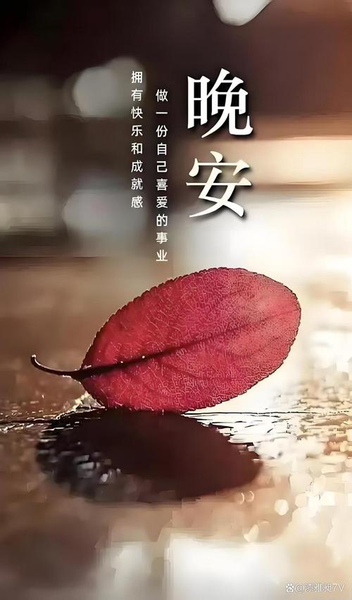 谁在说晚安？-图3