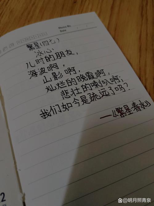 优美的诗歌摘抄-图2