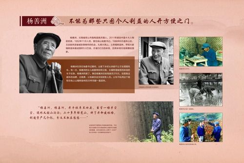 杨善洲诗歌有何独特魅力？-图1