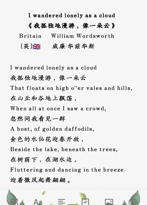 介绍诗歌 的英语作文-图1