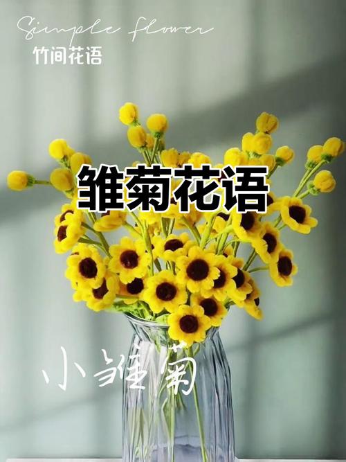 法国诗歌雏菊有何独特魅力？-图3